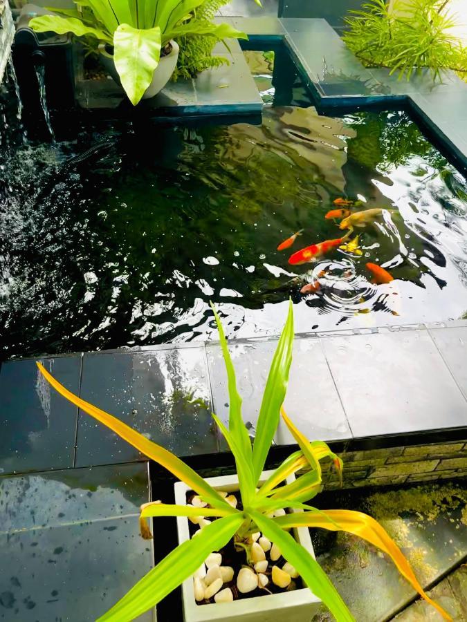 Travellers Halt Hotell Ratnapura Eksteriør bilde